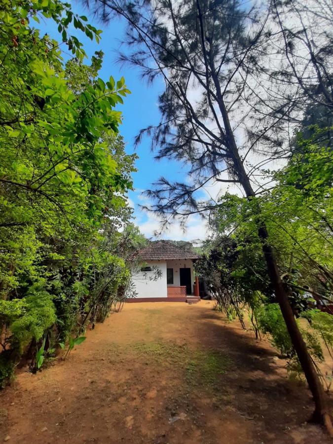 Tusker Tribe Hostel Gokarna  Exterior photo