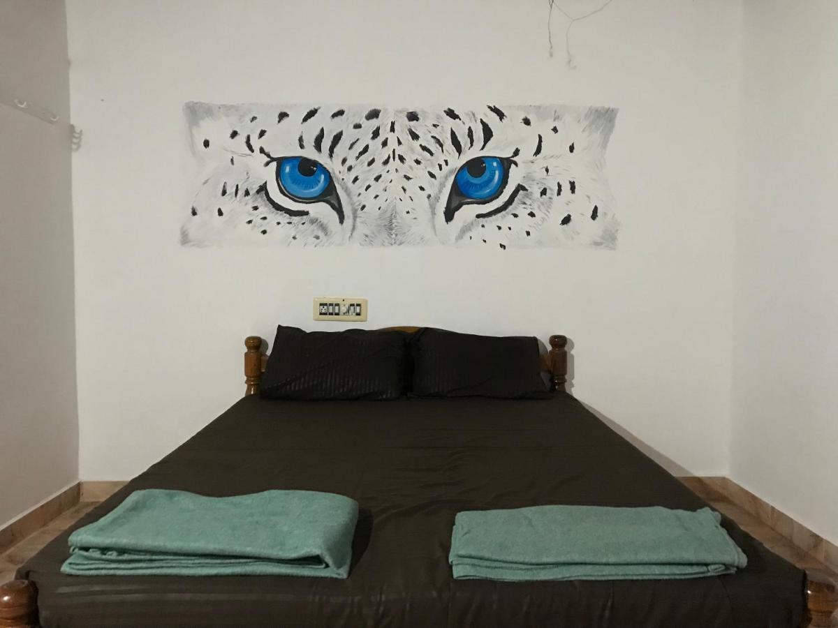 Tusker Tribe Hostel Gokarna  Exterior photo